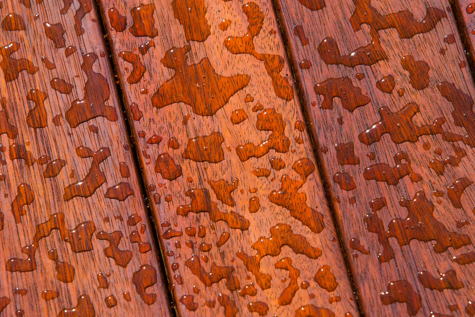 Water beading on a deck protected with Cutek Extreme penetrating oil