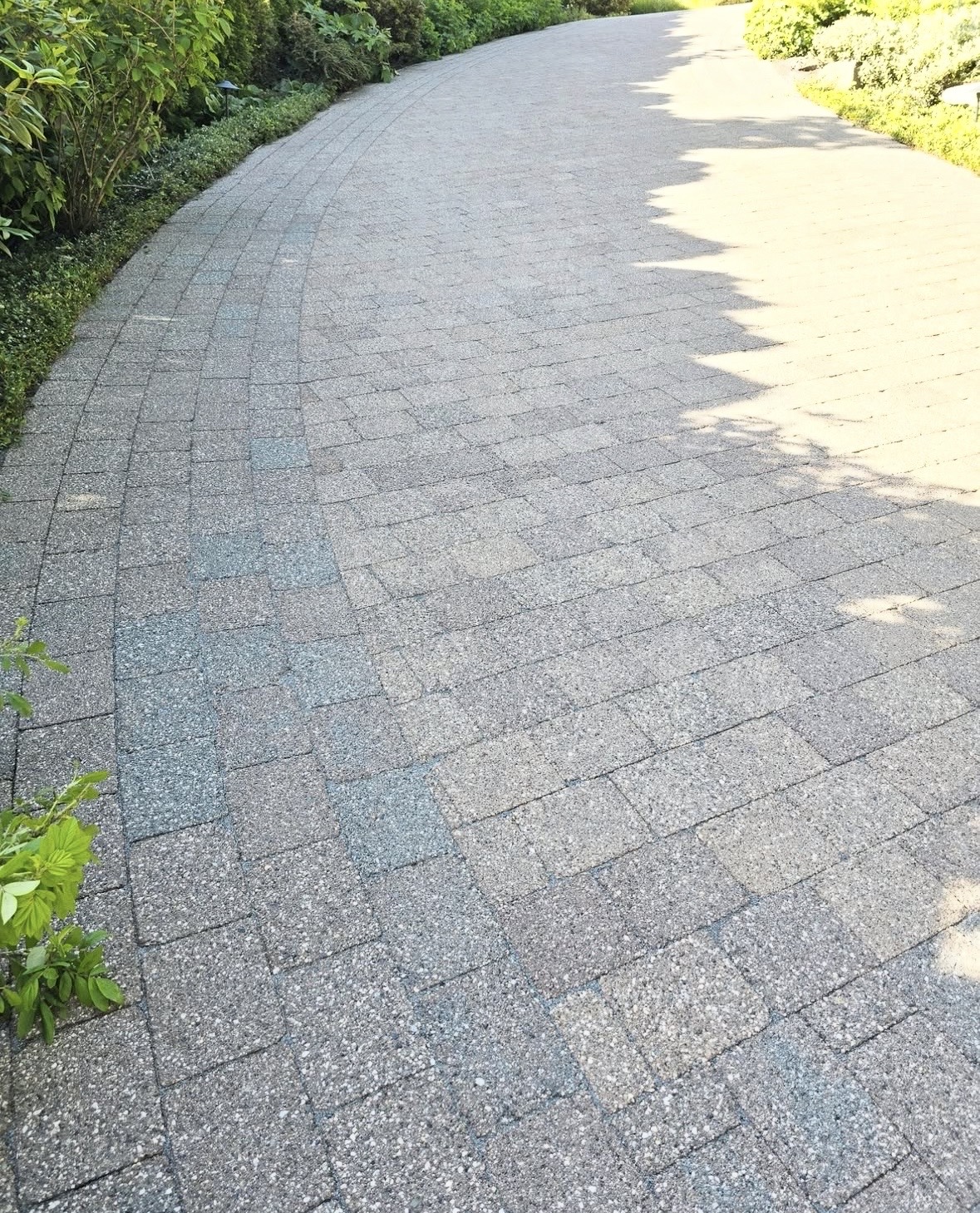 Interlock walkway restored to clean pavers