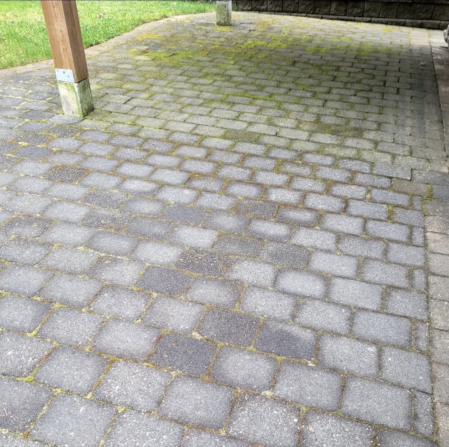 Interlock patio pavers covered in moss before restoration