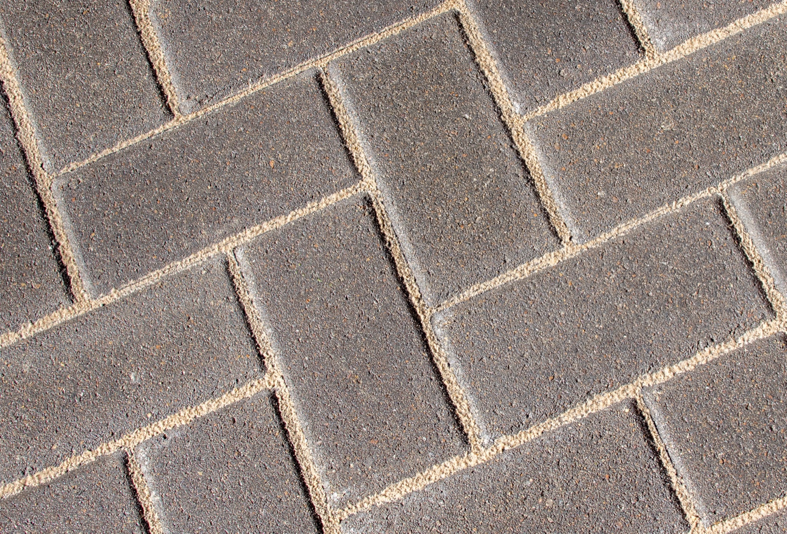 Clean interlock pavers with fresh polymeric sand joints