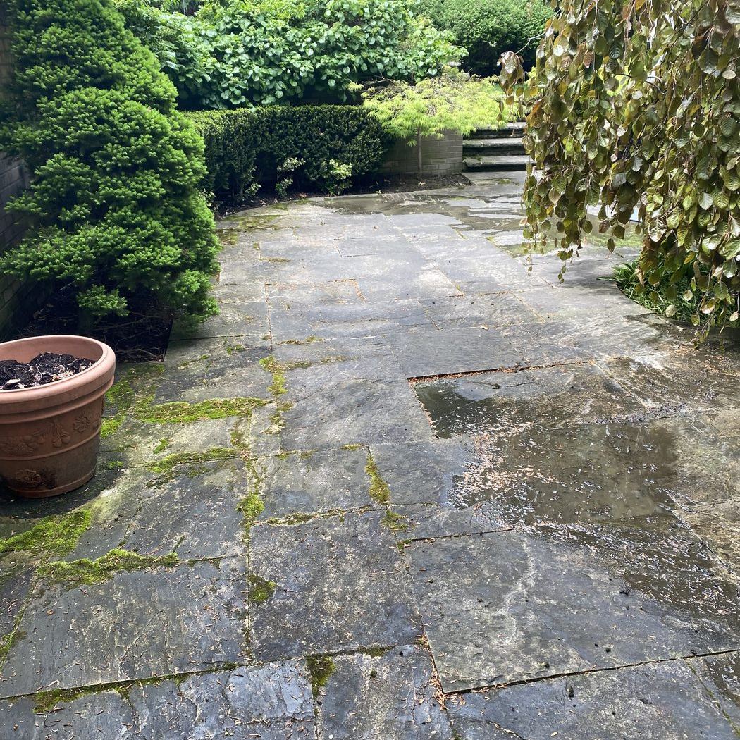 Mossy flagstone patio before pressure washing