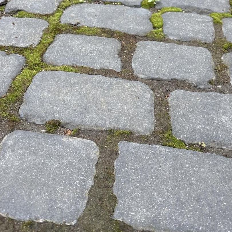 Cobblestone walkway with moss-filled joints before restoration