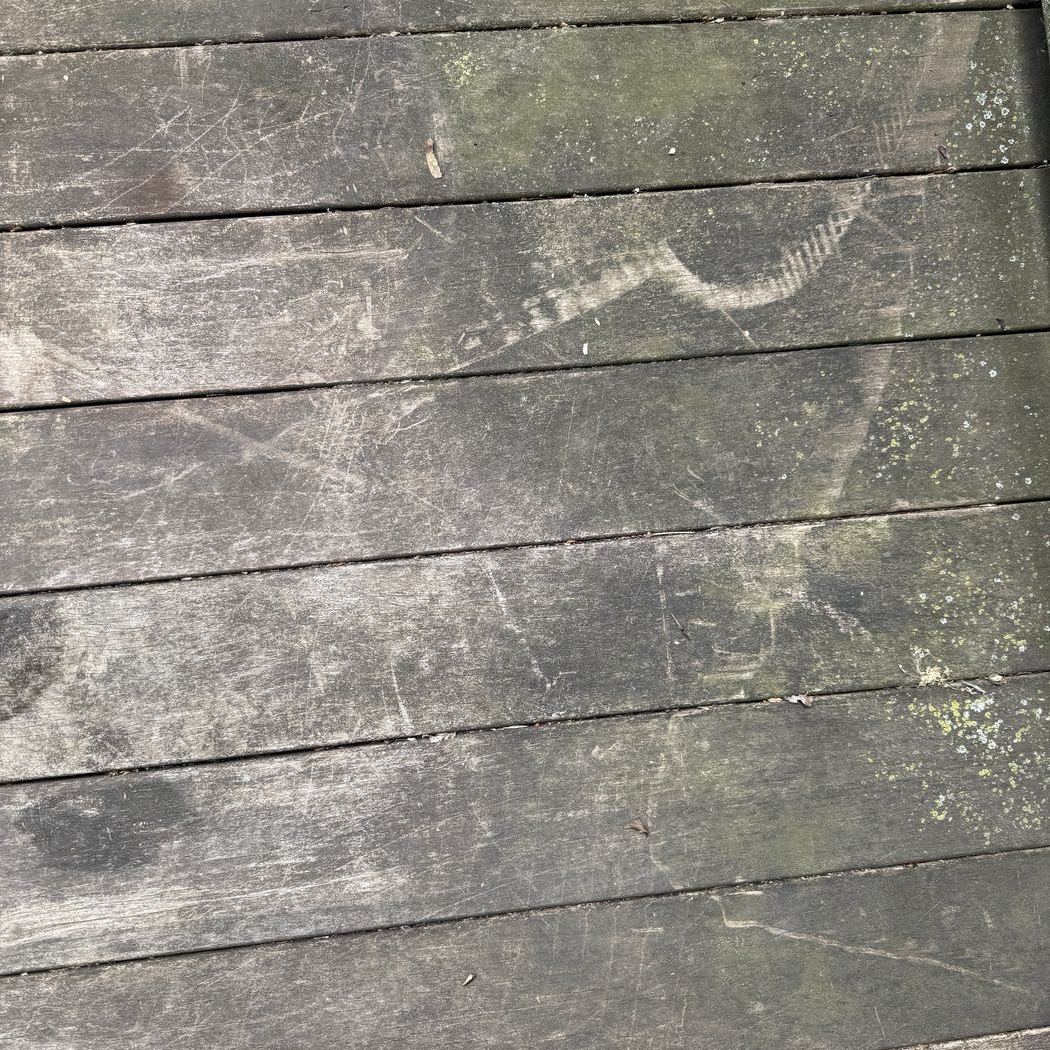 Grey grimy deck boards before pressure washing