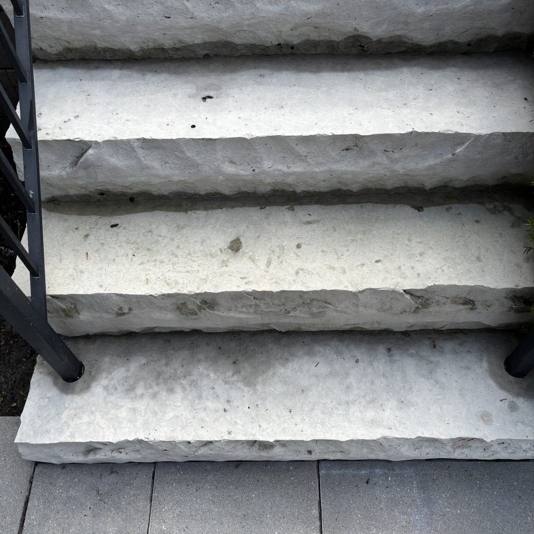 Stone entry steps bright and clean after pressure washing