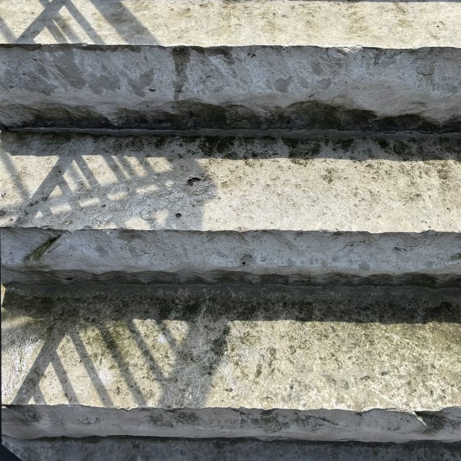 Stone entry steps stained with moss before pressure washing