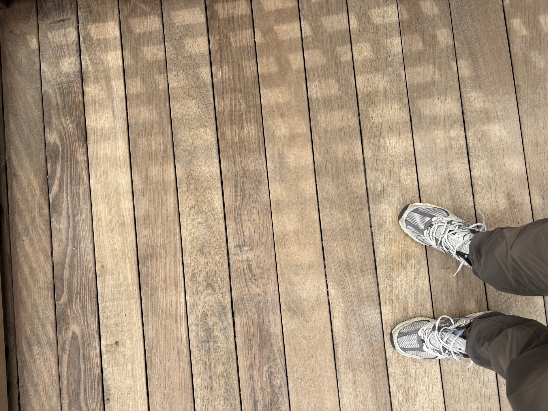 Deck boards cleaned and restored after pressure washing