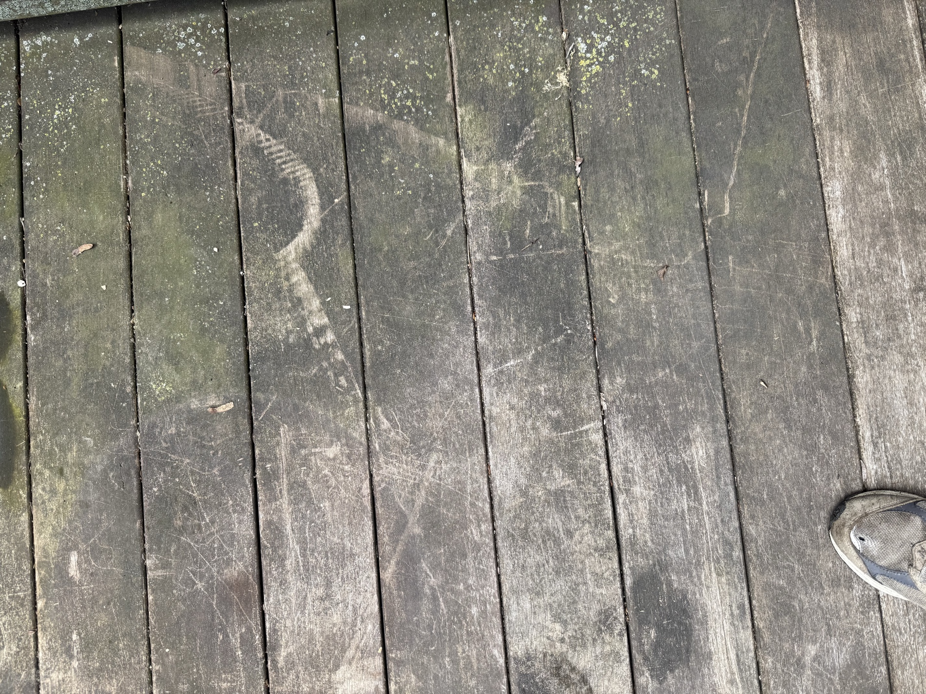Weathered, dirty deck boards before pressure washing